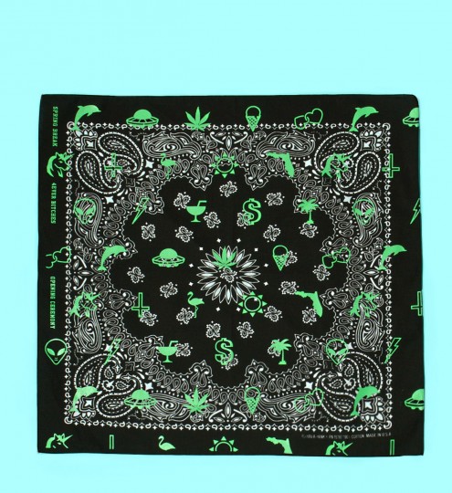 springbreakers9-495x540