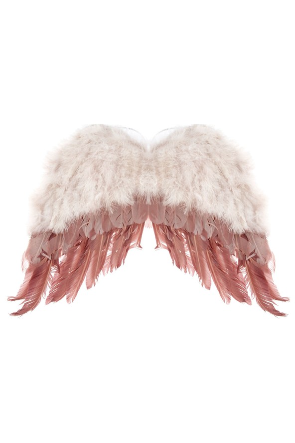 Asas - wings £35