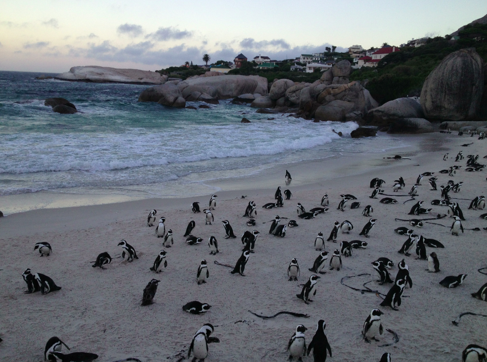 Screen Shot 2013-06-26 at 12.10.37 PM