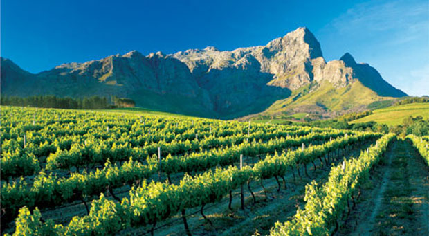 winelands
