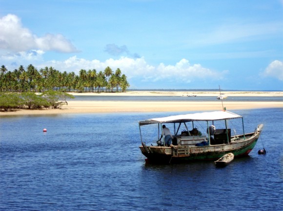 DSC01903_editada_reduzida1