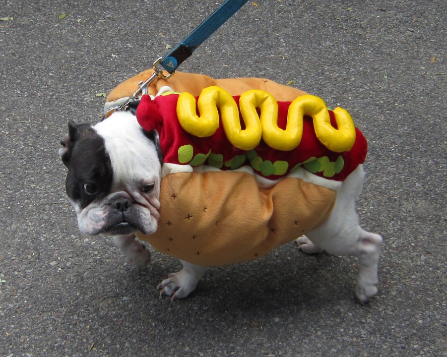 6281901608_4940cc0b55_o