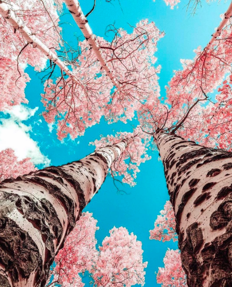 Captura de Tela 2017-05-11 às 13.49.14