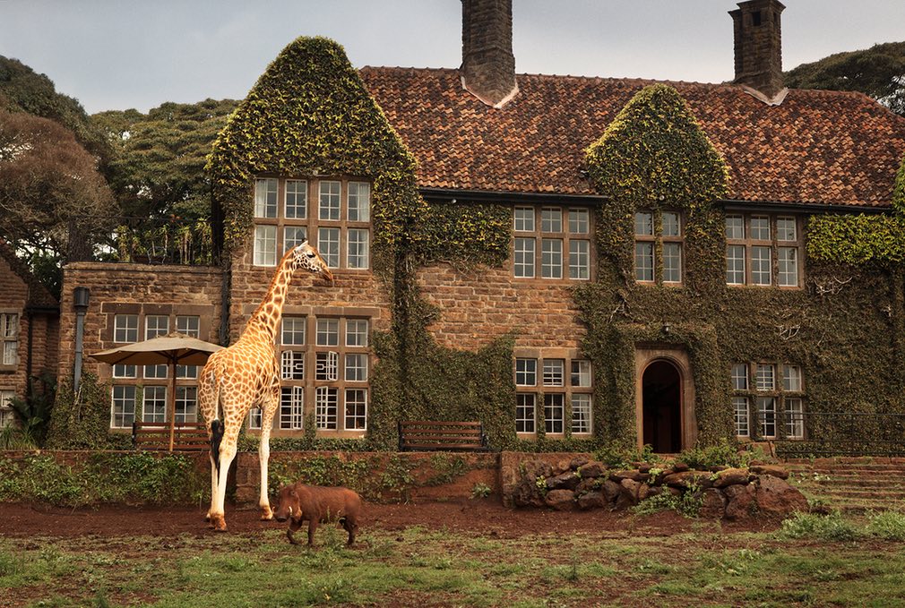 giraffe-manor-4